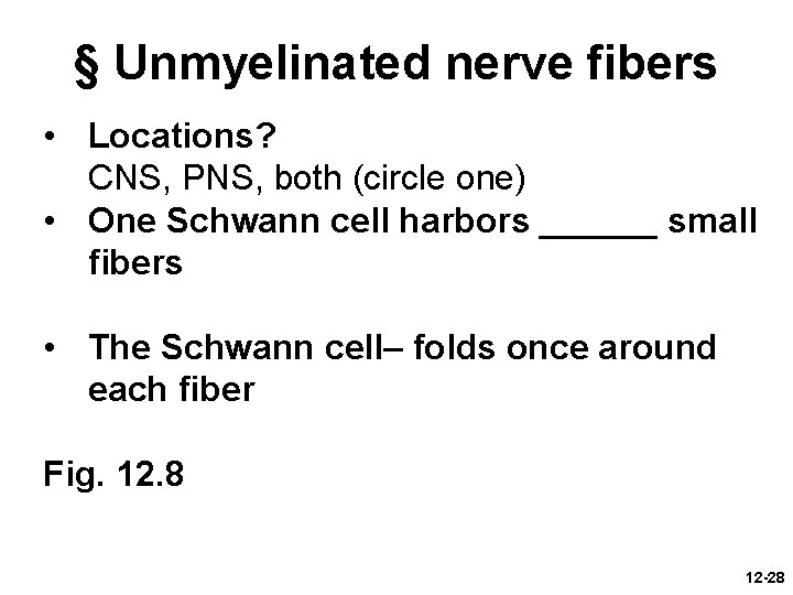 § Unmyelinated nerve fibers • Locations? CNS, PNS, both (circle one) • One Schwann