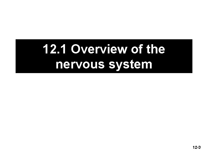 12. 1 Overview of the nervous system 12 -3 