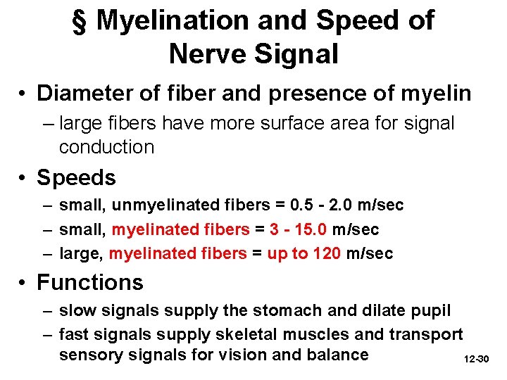 § Myelination and Speed of Nerve Signal • Diameter of fiber and presence of