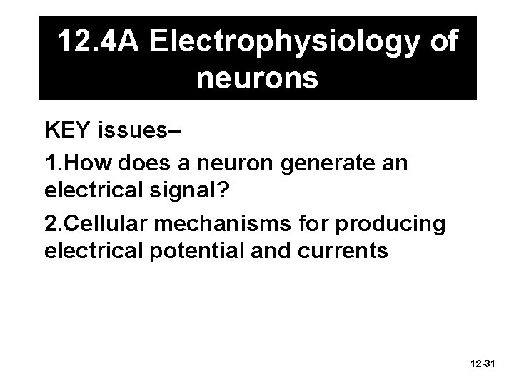 12. 4 A Electrophysiology of neurons KEY issues– 1. How does a neuron generate