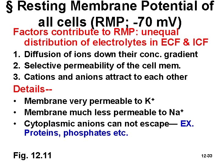 § Resting Membrane Potential of all cells (RMP; -70 m. V) Factors contribute to