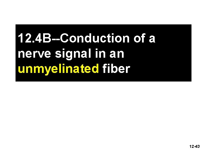 12. 4 B--Conduction of a nerve signal in an unmyelinated fiber 12 -43 