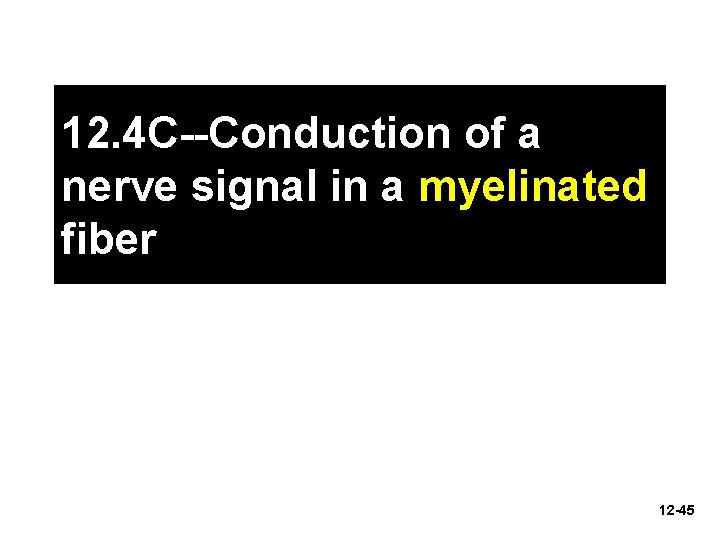 12. 4 C--Conduction of a nerve signal in a myelinated fiber 12 -45 