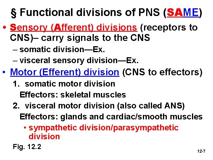§ Functional divisions of PNS (SAME) • Sensory (Afferent) divisions (receptors to CNS)– carry