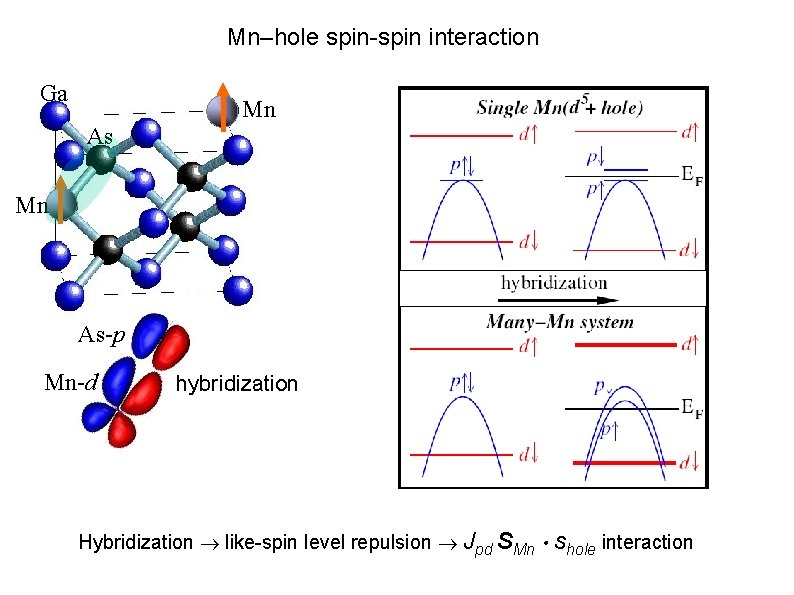 Mn–hole spin-spin interaction Ga Mn As-p Mn-d hybridization Hybridization like-spin level repulsion Jpd SMn