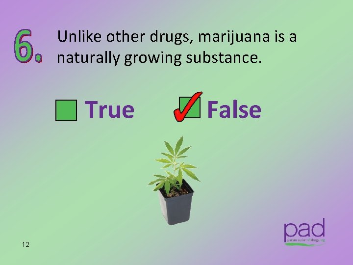 Unlike other drugs, marijuana is a naturally growing substance. True 12 False 