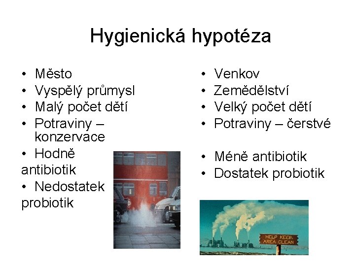 Hygienická hypotéza • • Město Vyspělý průmysl Malý počet dětí Potraviny – konzervace •