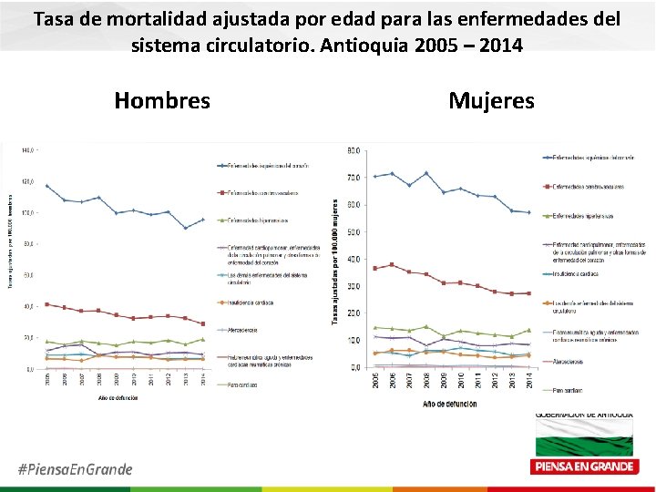 Tasa de mortalidad ajustada por edad para las enfermedades del sistema circulatorio. Antioquia 2005