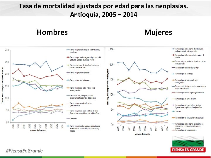 Tasa de mortalidad ajustada por edad para las neoplasias. Antioquia, 2005 – 2014 Hombres