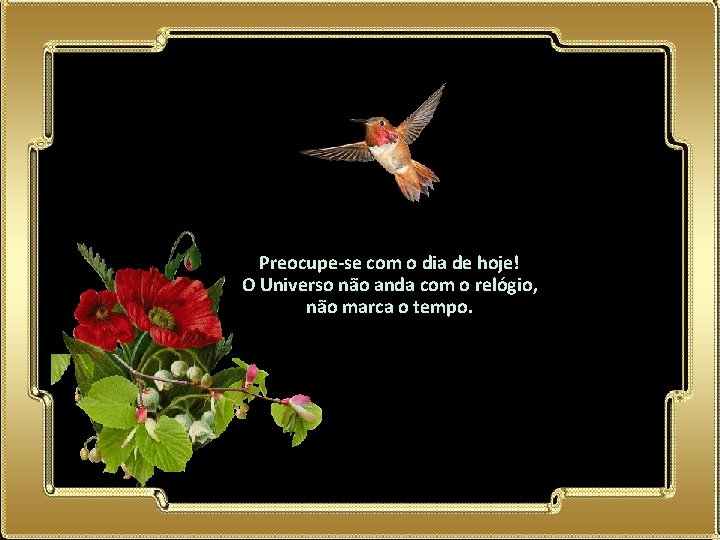 Preocupe-se com o dia de hoje! O Universo não anda com o relógio, não