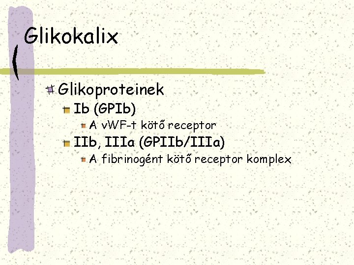 Glikokalix Glikoproteinek Ib (GPIb) A v. WF-t kötő receptor IIb, IIIa (GPIIb/IIIa) A fibrinogént