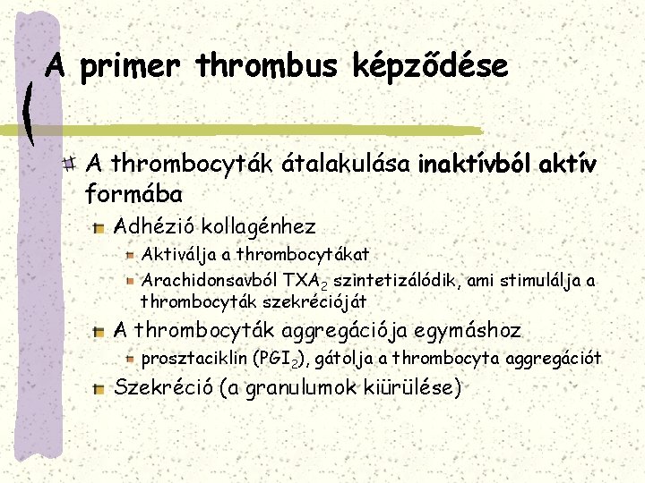 A primer thrombus képződése A thrombocyták átalakulása inaktívból aktív formába Adhézió kollagénhez Aktiválja a