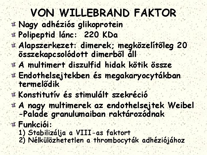 VON WILLEBRAND FAKTOR Nagy adhéziós glikoprotein Polipeptid lánc: 220 KDa Alapszerkezet: dimerek; megközelítőleg 20