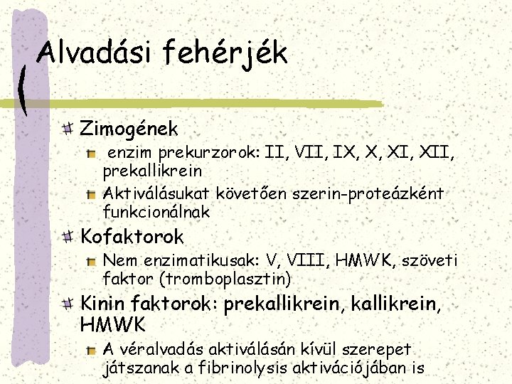 Alvadási fehérjék Zimogének enzim prekurzorok: II, VII, IX, X, XII, prekallikrein Aktiválásukat követően szerin-proteázként