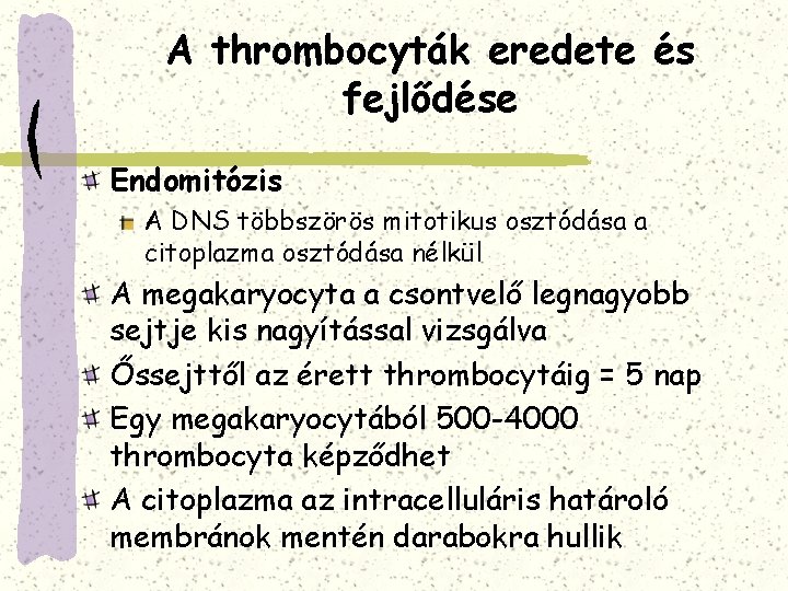 A thrombocyták eredete és fejlődése Endomitózis A DNS többszörös mitotikus osztódása a citoplazma osztódása