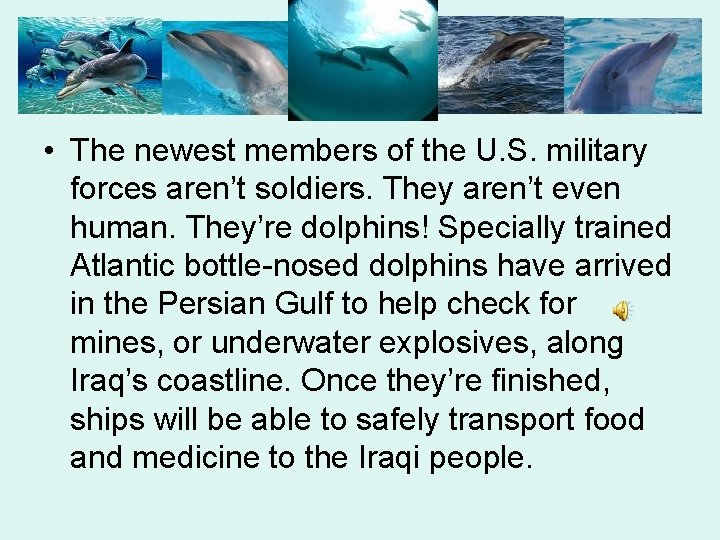  • The newest members of the U. S. military forces aren’t soldiers. They