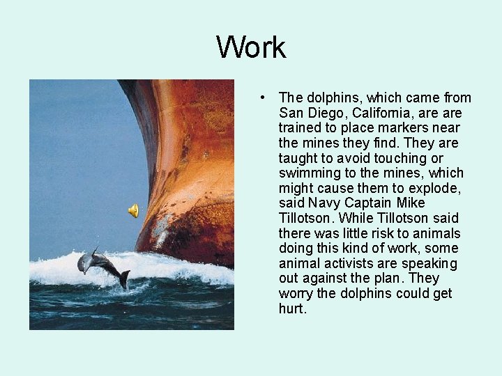 Work • The dolphins, which came from San Diego, California, are trained to place