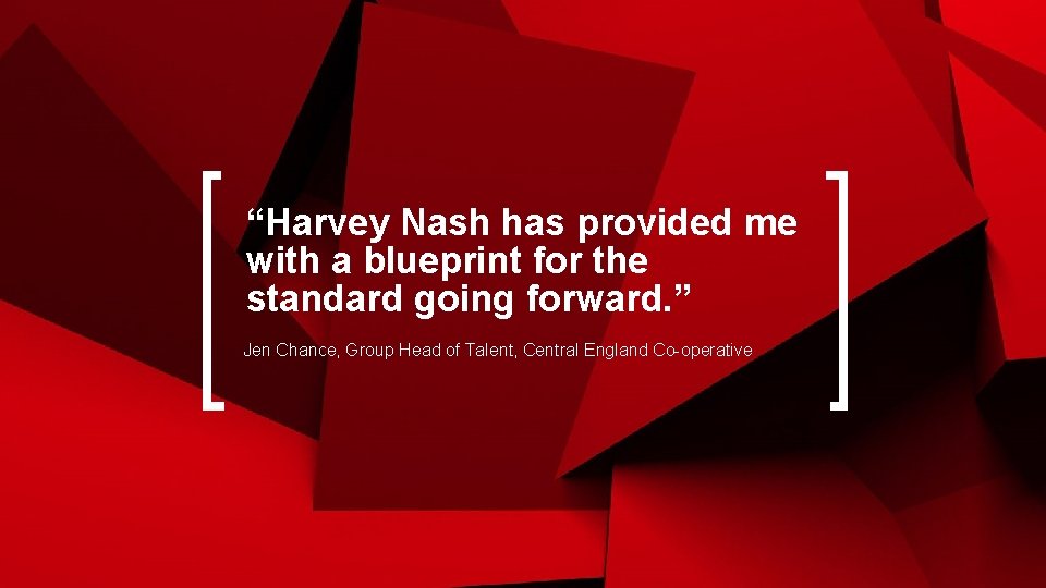 “Harvey Nash has provided me with a blueprint for the standard going forward. ”