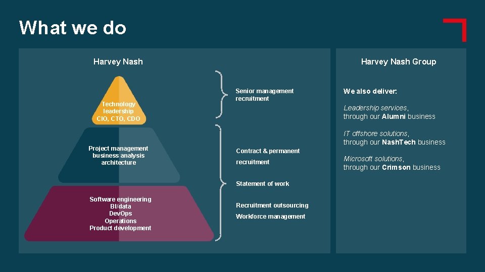 What we do Harvey Nash Technology leadership CIO, CTO, CDO Project management business analysis