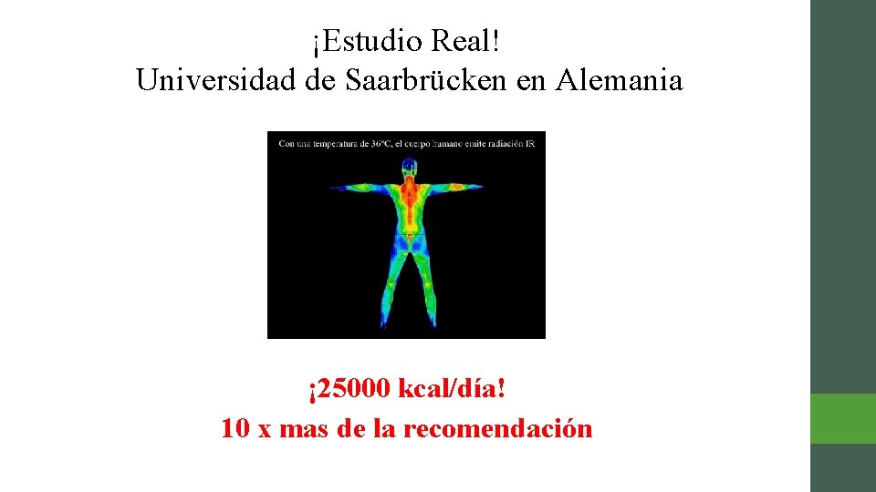 ¡Estudio Real! Universidad de Saarbrücken en Alemania ¡ 25000 kcal/día! 10 x mas de