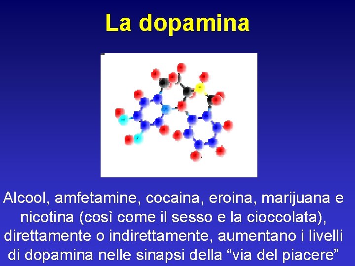 La dopamina Alcool, amfetamine, cocaina, eroina, marijuana e nicotina (così come il sesso e