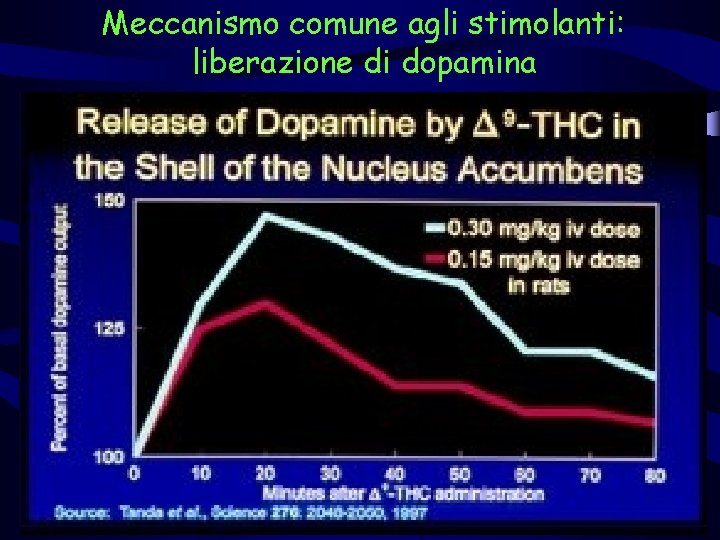Meccanismo comune agli stimolanti: liberazione di dopamina 
