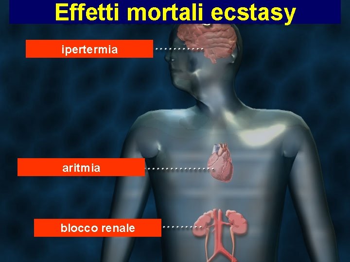 Effetti mortali ecstasy ipertermia aritmia blocco renale 