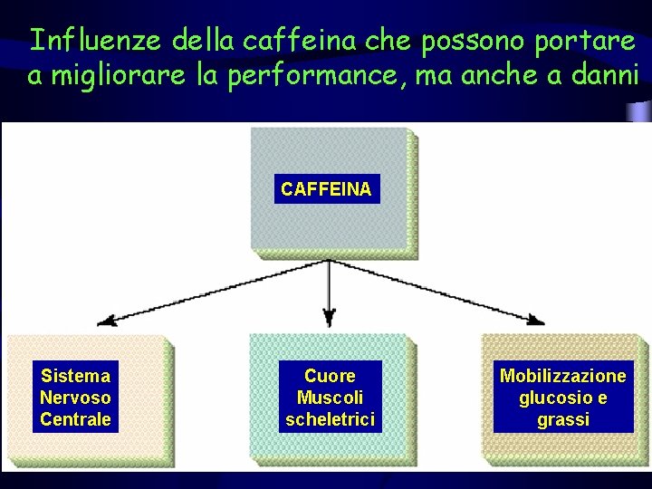 Influenze della caffeina che possono portare a migliorare la performance, ma anche a danni