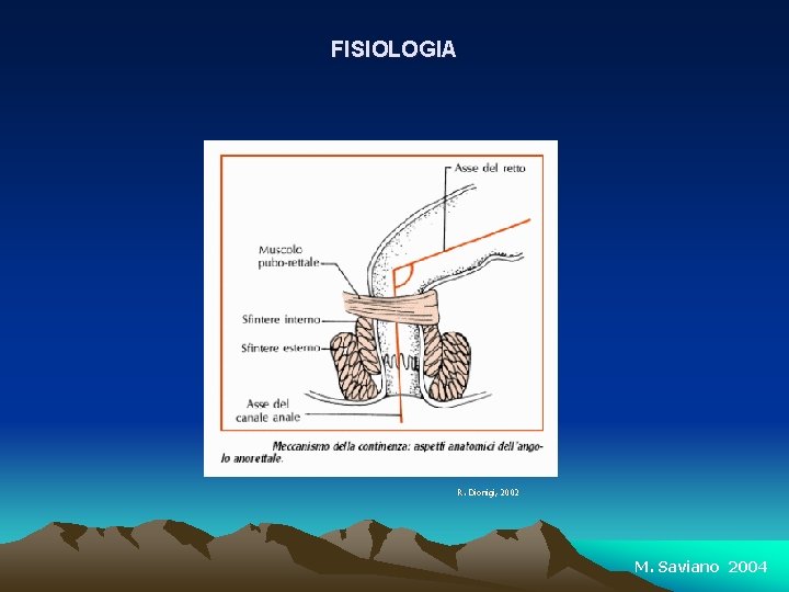 FISIOLOGIA R. Dionigi, 2002 M. Saviano 2004 