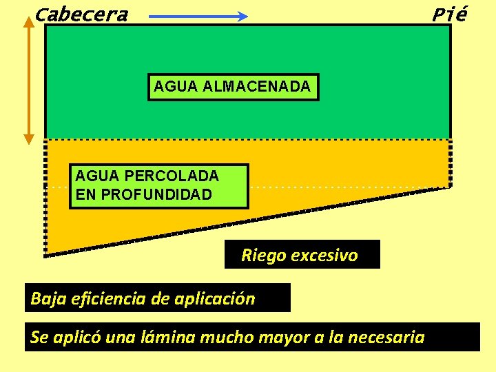 Cabecera Pié AGUA ALMACENADA AGUA PERCOLADA EN PROFUNDIDAD Riego excesivo Baja eficiencia de aplicación