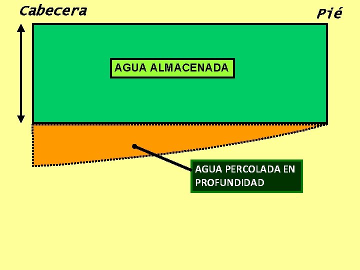Cabecera Pié AGUA ALMACENADA AGUA PERCOLADA EN PROFUNDIDAD 