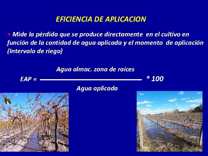 EFICIENCIA DE APLICACION • Mide la pérdida que se produce directamente en el cultivo