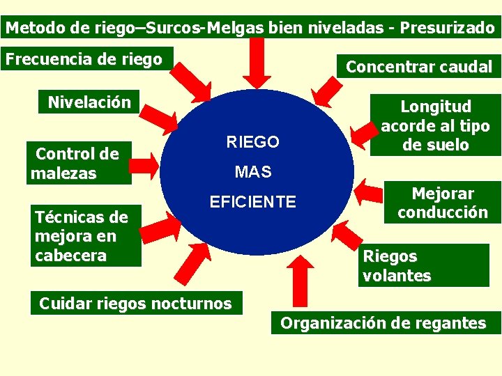 Metodo de riego–Surcos-Melgas bien niveladas - Presurizado Frecuencia de riego Concentrar caudal Nivelación Control