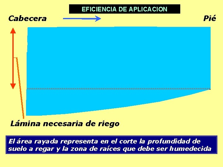 EFICIENCIA DE APLICACION Cabecera Pié Lámina necesaria de riego El área rayada representa en