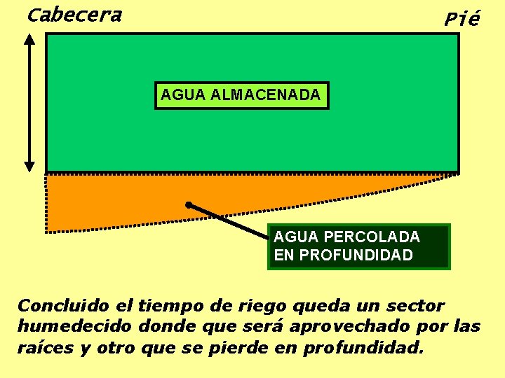 Cabecera Pié AGUA ALMACENADA AGUA PERCOLADA EN PROFUNDIDAD Concluido el tiempo de riego queda