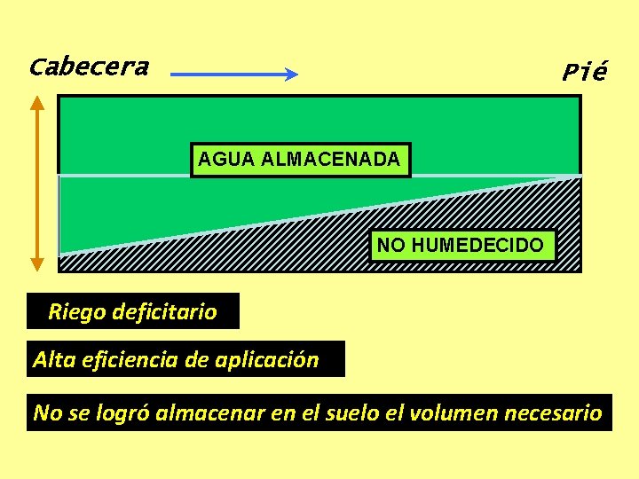 Cabecera Pié AGUA ALMACENADA NO HUMEDECIDO Riego deficitario Alta eficiencia de aplicación No se