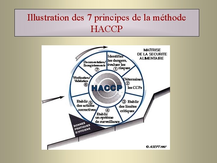 Illustration des 7 principes de la méthode HACCP 