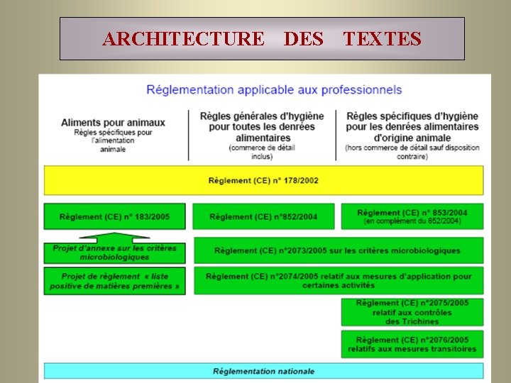 ARCHITECTURE DES TEXTES 