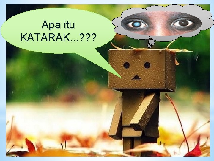 Apa itu KATARAK. . . ? ? ? 