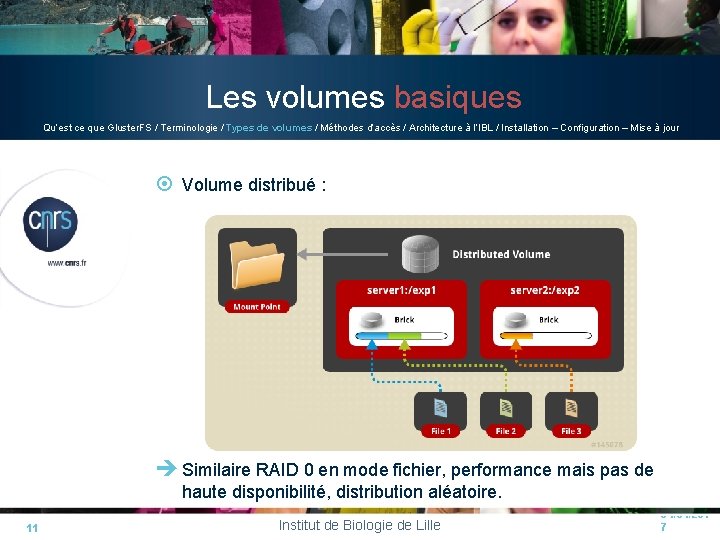 Les volumes basiques Qu’est ce que Gluster. FS / Terminologie / Types de volumes Les volumes basiques Qu’est ce que Gluster. FS / Terminologie / Types de volumes
