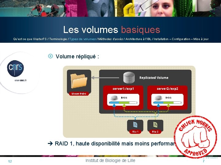 Les volumes basiques Qu’est ce que Gluster. FS / Terminologie / Types de volumes Les volumes basiques Qu’est ce que Gluster. FS / Terminologie / Types de volumes