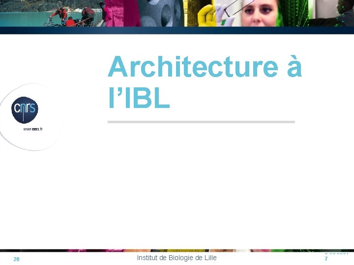 Architecture à l’IBL 20 Institut de Biologie de Lille 04/04/201 7 Architecture à l’IBL 20 Institut de Biologie de Lille 04/04/201 7