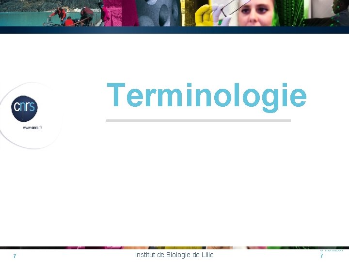 Terminologie 7 Institut de Biologie de Lille 04/04/201 7 Terminologie 7 Institut de Biologie de Lille 04/04/201 7
