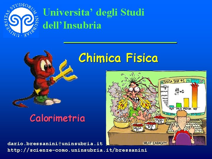 Universita’ degli Studi dell’Insubria Chimica Fisica Calorimetria dario. bressanini@uninsubria. it http: //scienze-como. uninsubria. it/bressanini