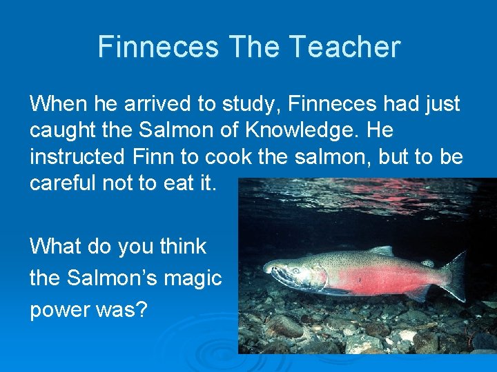 Finneces The Teacher When he arrived to study, Finneces had just caught the Salmon