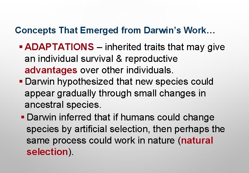 Evolution Concepts That Emerged from Darwin’s Work… § ADAPTATIONS – inherited traits that may