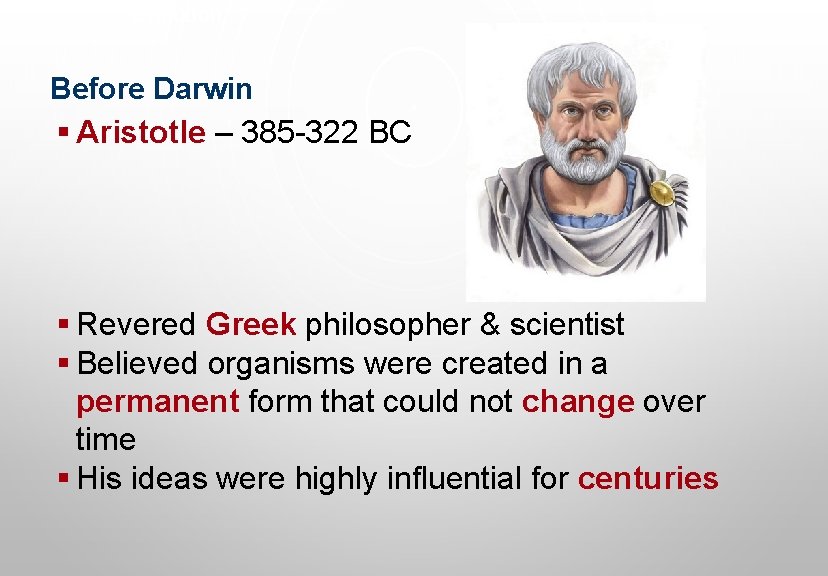 Evolution Before Darwin § Aristotle – 385 -322 BC § Revered Greek philosopher &