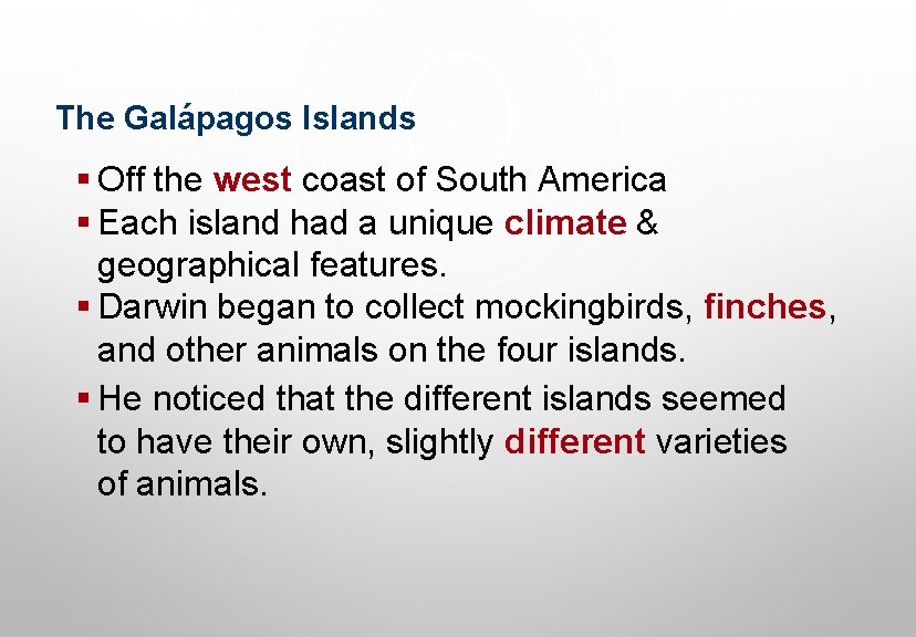 Evolution The Galápagos Islands § Off the west coast of South America § Each