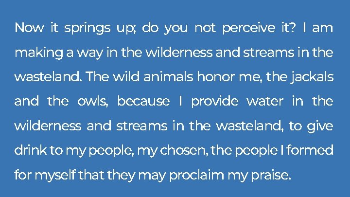 Now it springs up; do you not perceive it? I am making a way Now it springs up; do you not perceive it? I am making a way