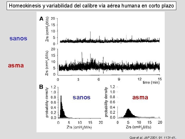 Homeokinesis y variabilidad del calibre vía aérea humana en corto plazo sanos asma Que Homeokinesis y variabilidad del calibre vía aérea humana en corto plazo sanos asma Que